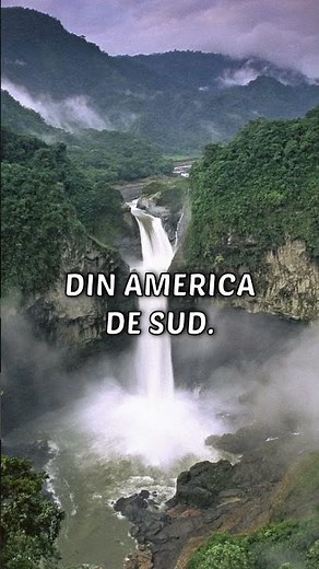 The largest tropical forest in the world