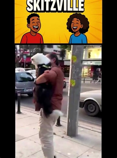 Dog sees himself in an ad… and starts posing! 😂📸 #funnyvideo #funnyshorts #comedyskits