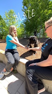 Pets like these need your help NOW. Give them a hand up. Momentum is building for #GTHSWalkForPets2024. Dogs and cats are “all hands in” to cheer you on. Put your Hands together for the Highlights: 🐾 The Adoptions Team is in the top team fundraising spot with over $10,000 raised! 🐾 Our Ignite Sponsor Owen & Associates has over 20 team members registered! 🐾 GTHS Cheryl, Kevin & Emmi have raised nearly $9,000, with Blue & Barbara Walk in Memory of Hunter closely behind! 🐾 As of today, we have 