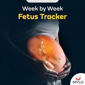 2.2K reactions · 25 shares | The joy of tracking and recording every little development in pregnancy is bliss! Download the Mylo app, track and record weekly developments  | Mylo - Pregnancy & Baby App | Facebook