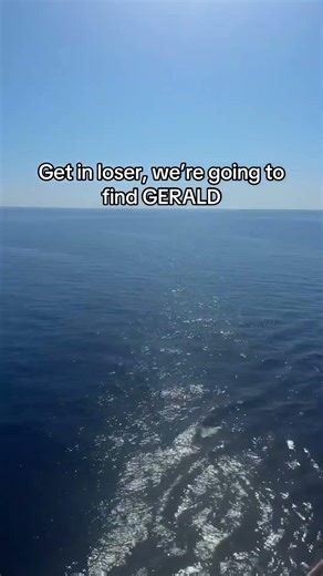 WHERE IS HE?! #geraldthedolphin #floridaman #underwater