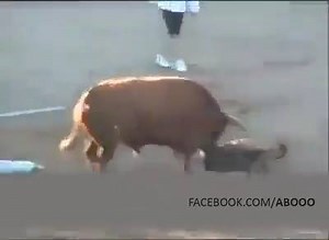 پاگلوں والا کھیل بھی دیکھئے۔... | hamariweb.info