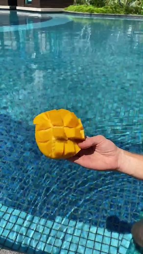 Три сорта манго 🥭🥭🥭