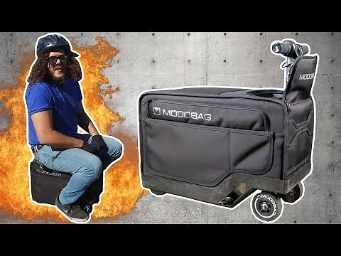 The Modobag Suitcase Is My New Hot Ride