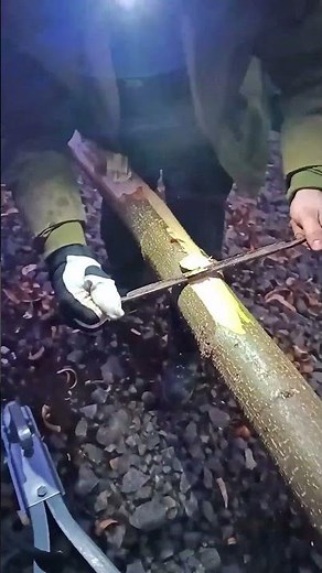 Removing Bark From Wood by Hand - Tree Bark Scraper Tool Drawknife