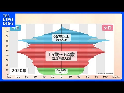 2070年の日本の人口「8700万人」と推定 少子化加速で65歳以上が約4割に？ 外国人の割合増加も…【Nスタ解説】｜TBS NEWS DIG
