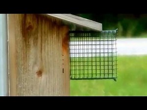 Woolwine House Bluebird Trail-The Noel Guard -- "My Front Porch!"