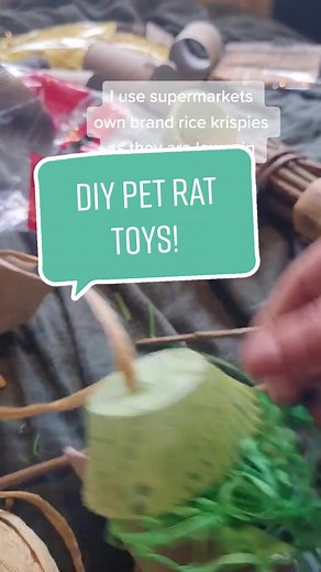 some basic DIY pet rat toys! #SimlishSessions #WorkThisWay #rats #petrats #rattok #ratsoftiktok #seratoninpotato #diy #foraging #enrichment