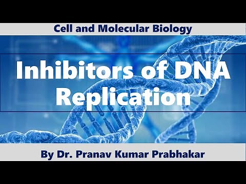 Inhibitors of DNA Replication