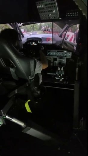 Rally in 6DOF Motion Sim #wrc #racing #crash #rally #drivingsimulator #rallychampionship