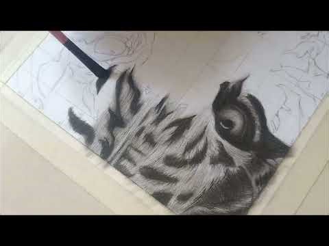Tiger Drawing 🐯||charcoal Drawing