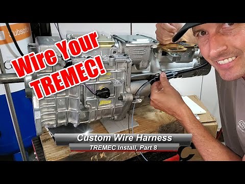 TREMEC TKO/TKX/T56 Install, Part 8: How to install a Wire Harness for your TREMEC.