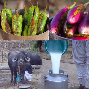 1.7M views · 10K reactions | 100+ Amazing Indian Village Cooking Videos you can now watch on our page. | Street Food And Travel TV India | Facebook