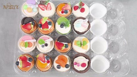 24 Count Cupcake Containers 10 Pack Cupcake Holders Plastic Stackable Cupcake Boxes with Detachable Tall Dome Lids and 240 Liners for 240 Cupcakes, BPA Free, Standard Size