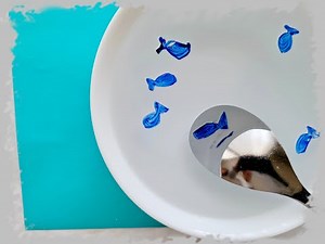 Dry Erase Marker Floating Fish On water | Diy science Experiment| Fun STEM Activity| Float Drawings