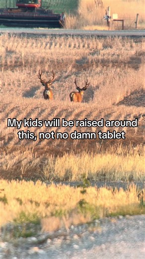 #hunting #muledeer #outdoors #utah | hunting