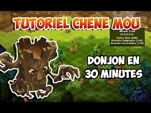 Chêne Mou Dofus Retro | Tutoriel Complet de A à Z | 30 Minutes par Donjon En Team Enu !