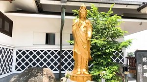 千手院動物霊園 –大阪府堺市のペット霊園–