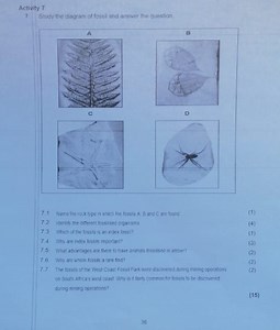 Activity 7Study the diagram of fossil and answer the question... | Filo