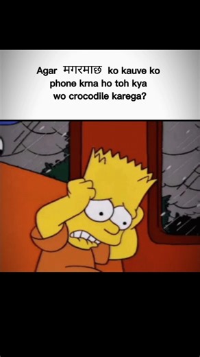 Crocodile! #facts #simpsons #funnyvideo #humour #memes