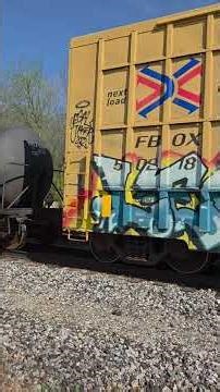 CN 3407, GECX 2037 Eastbound train with SHPX hopper, containers on spine car for sodium cyanide