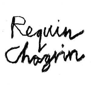Requin Chagrin - Fou şarkı sözleri