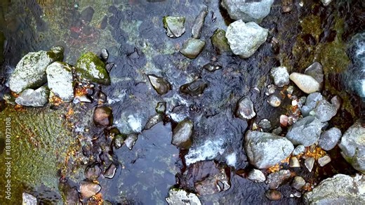【日本の秋の絶景】青空と紅葉の渓谷美、清らかな水と岩場（ドローン空撮・俯瞰）