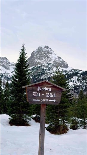 🇦🇹 Ehrwald - Seebental Aussichtspunkt 🤩 #mountains #hiking #alp #zugspitze #shorts #mountainview