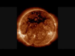 Wolf 359 Succulent Rat-Killing Tar (1)