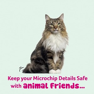 You asked, we listened; we've done. Animal Friends is now offering to safeguard microchip numbers on behalf of our customers. You can now store your pet’s microchip details alongside your policy, helping to make it easier for you to access when you need it most! We'll also remind you to update your microchip details if you tell us you move house. With the increased reports of pet theft, we're hoping this change will give you greater confidence that should your pet go missing, you can now access 