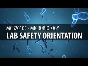 MCB2010C Lab: Lab Safety Orientation