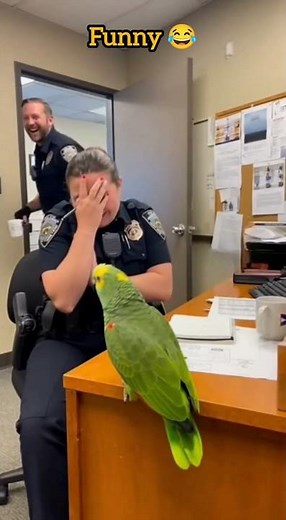 Parrot Flirts With Police Officer 😂 | Funniest Talking Bird Ever!#FunnyParrot #PoliceComedy