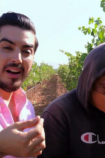 Así se hace el mejor vino del mundo
