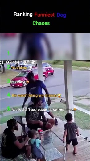 Ranking funniest dog chases🐕😂#funny #comedyshorts #comedy #rankingshorts #chased