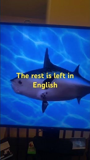 SpongeBob intro fandub Persian MBC Persia ￼