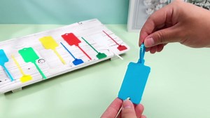 Chunful 200 Pcs Plastic Tags Waterproof Shipping Tags for Labeling Self Locking Nylon Labels Writable Marker Multicolor Cable Zip Tie Labels for Keys Luggage Logistic Inventory(Modern)