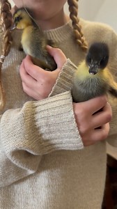 3.3K views · 96 reactions | The only surprise box that I haven’t been...