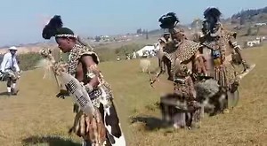 8.9K views · 71 reactions | SHEMBE FESTIVAL: Members of the Nazareth Baptist Church conducting Umgidi which forms part of their worship at Esabelweni in Mahlanya. Women and girls dance separately from men and boys. | Times of Eswatini | Facebook