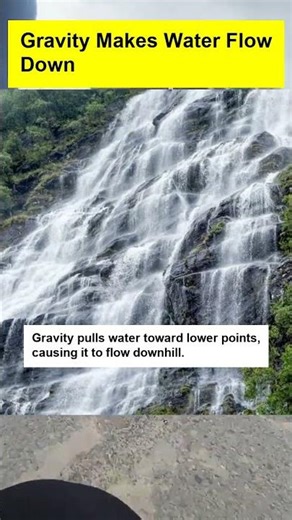 Gravity Makes Water Flow Down - OTOMOTIPS