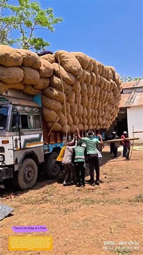 How a Human Chain Uses a Wooden Beam to Secure an Overstuffed Truck