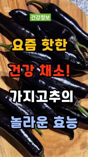요즘 핫한 건강 채소! 가지고추의 놀라운 효능 #건강 #음식 #가지고추 #고추 #가지 #영양식 #추천 #쇼츠 #상품