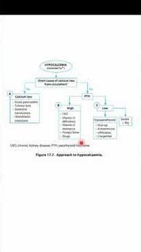 Algorithm 18 : Hypocalcemia