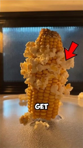 Pop CORN Under The MICROSCOPE 😱