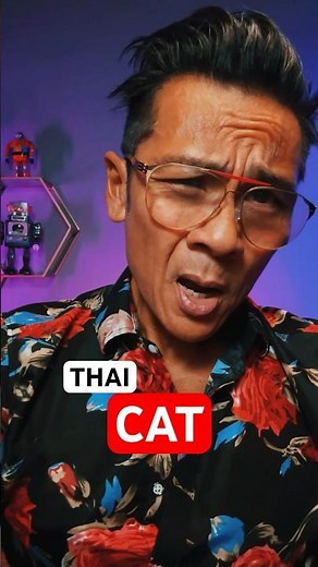 EASY THAI TUTORIAL: How to say CAT for Beginners & Travelers 🇹🇭🙏#shorts #learnthai #thailesson