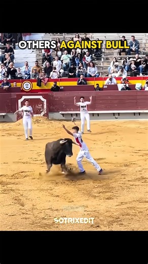 Others against bull vs Last Guy 💀