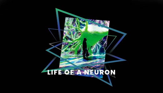 Welcome to Life of a Neuron | ARTECHOUSE