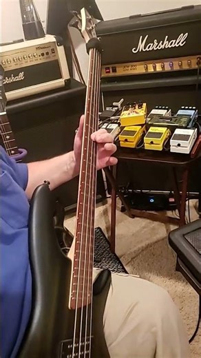 10/30 Series Joyo Analog Chorus with a Bass #bass #bassfeatured