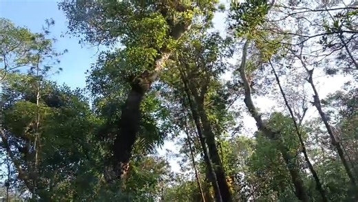 #facebookphotochallenge | Nur Islam Vlogs