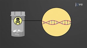 Video: Mutagenicity and Carcinogenicity