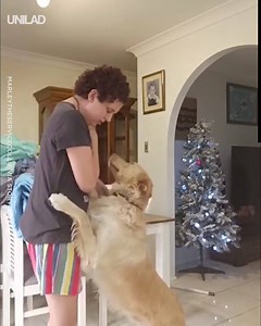 "He changes my life everyday..." This adorable dog rushes to his human's aid everytime she has a panic attack ❤️️🙌 | UNILAD